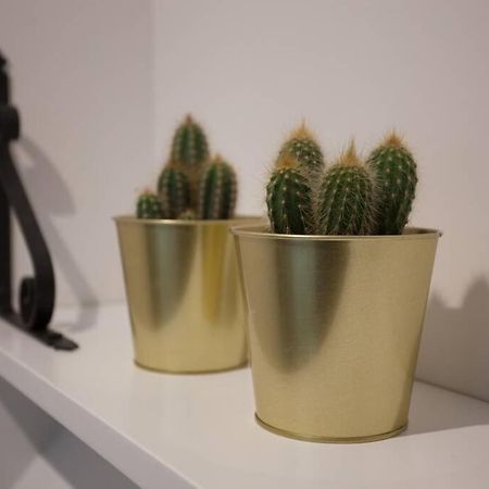 Bonito Apartamento, Nuevo Y En El Casco Viejo!!! Leilighet Bilbao Eksteriør bilde